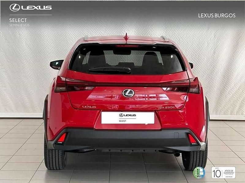 Usado Lexus UX 250h 186 CV (136 kW) 2023 Rojo SUV