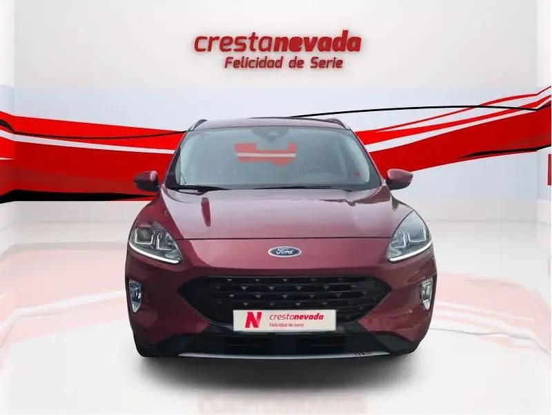 Usado Ford Kuga Titanium 150 CV (110 kW) 2021 SUV