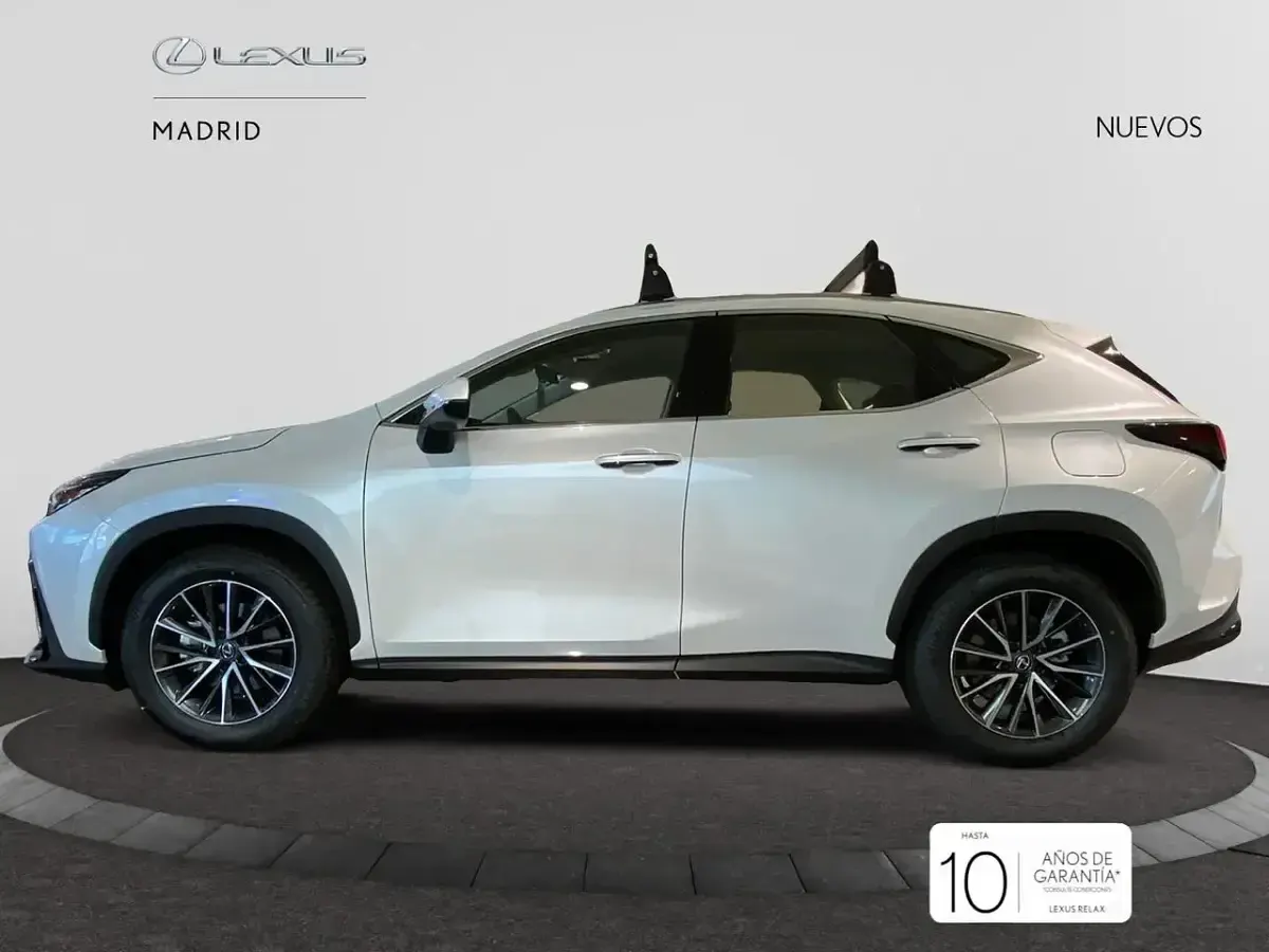 Nuevo Lexus NX350h 242 CV (177 kW) 2025 Blanco