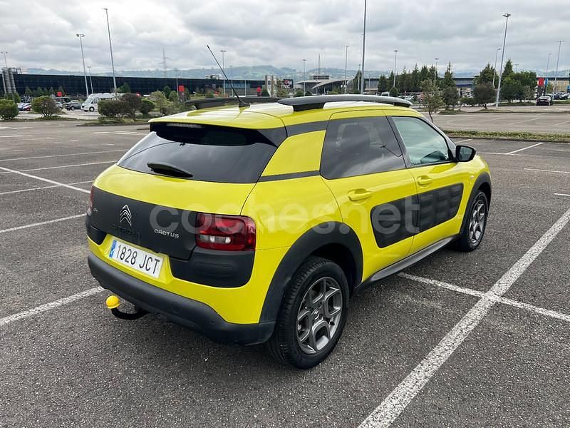 Usado Citroën C4 Cactus Shine 100 CV (73 kW) 2015 Verde Utilitario
