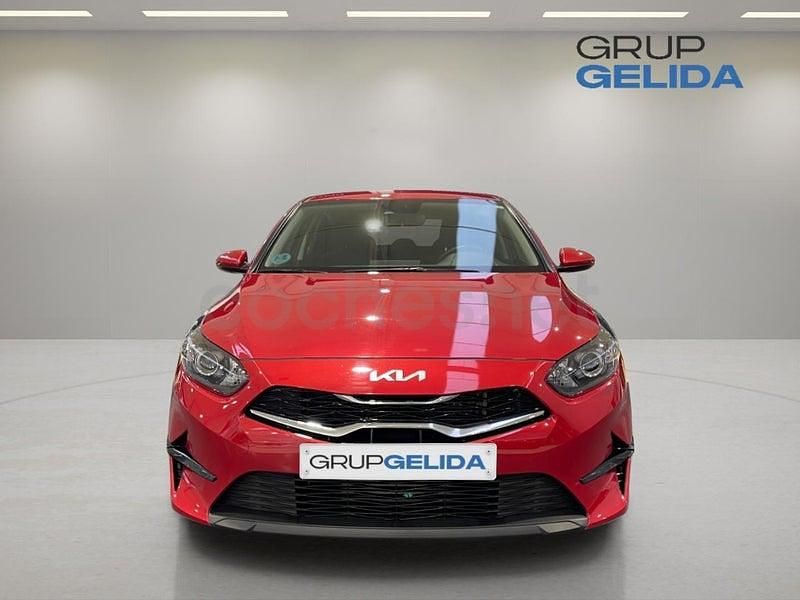 Usado Kia Ceed 120 CV (88 kW) 2023 Rojo Utilitario