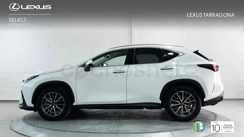 Usado Lexus NX450h+ 292 CV (214 kW) 2026 Blanco SUV