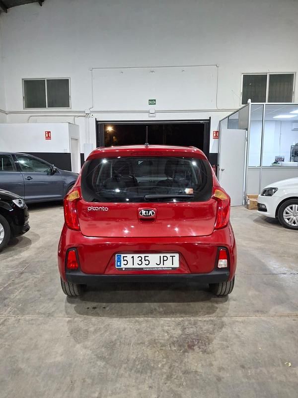 Usado Kia Picanto 66 CV (48 kW) 2016 Rojo Utilitario