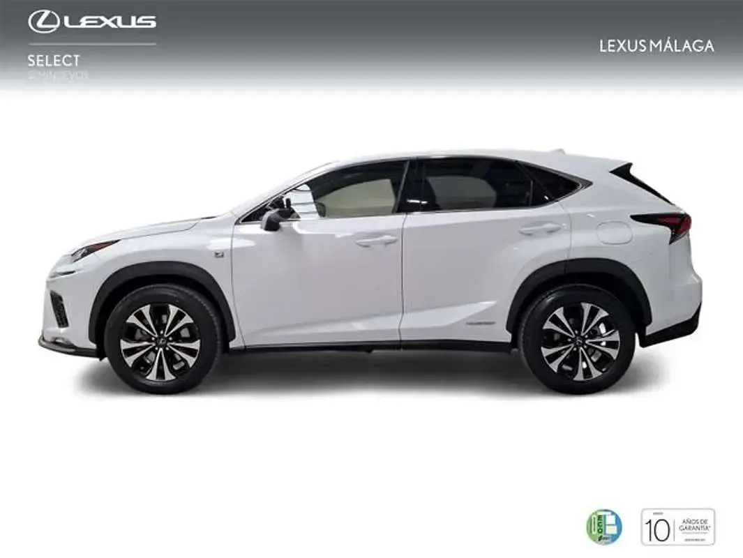 Usado Lexus NX300h Sport Line 197 CV (144 kW) 2020 Blanco SUV
