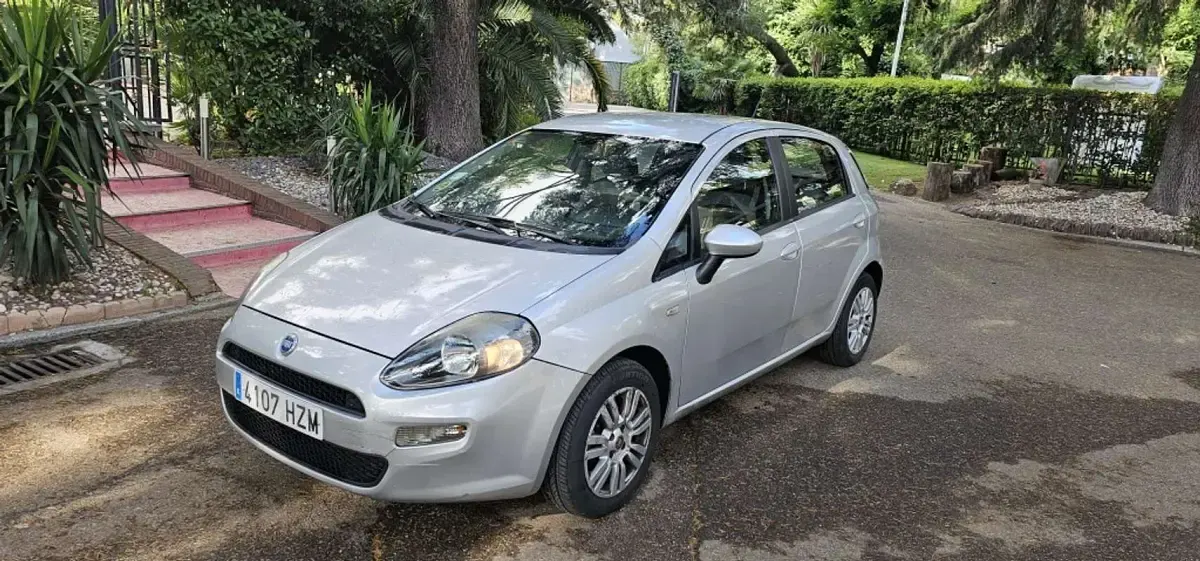 Usado Fiat Punto Easy 95 CV (69 kW) 2014 Gris Utilitario