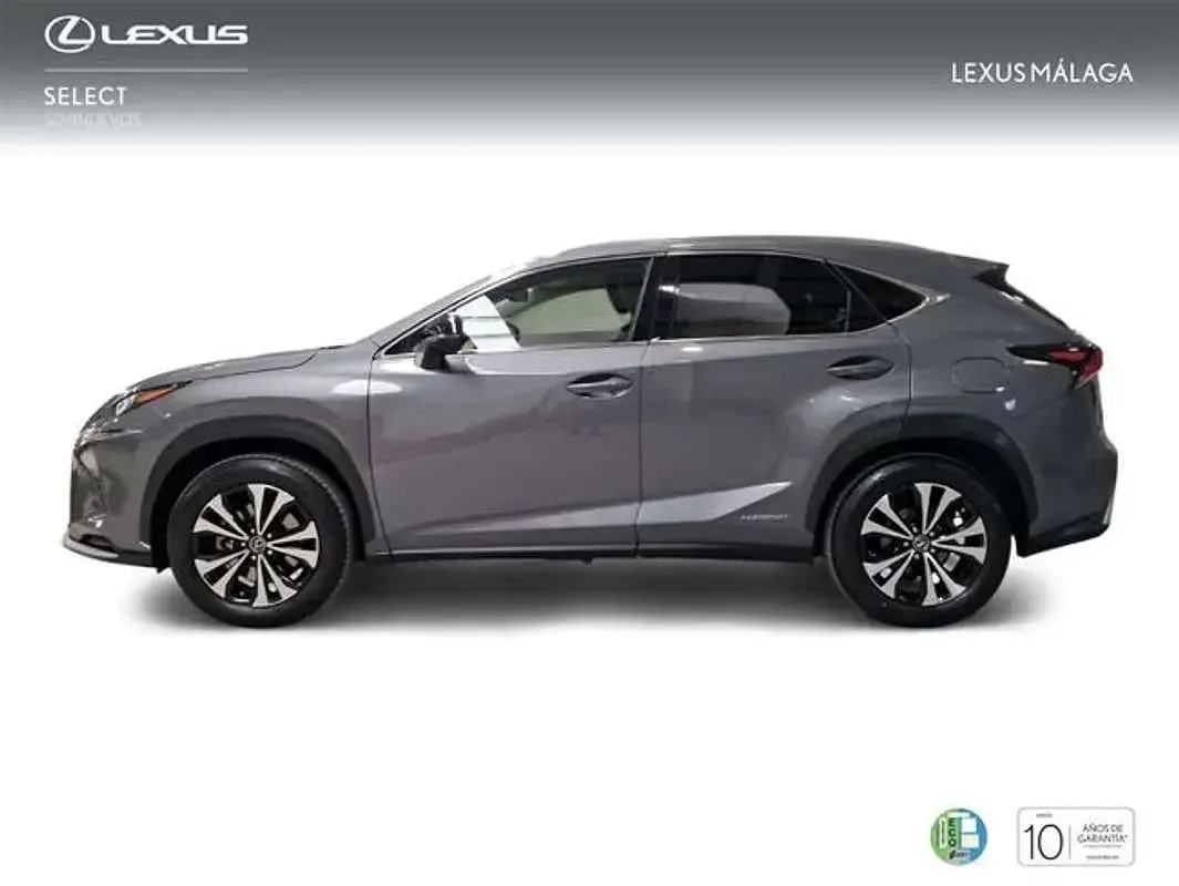 Usado Lexus NX300h 197 CV (144 kW) 2021 Gris SUV