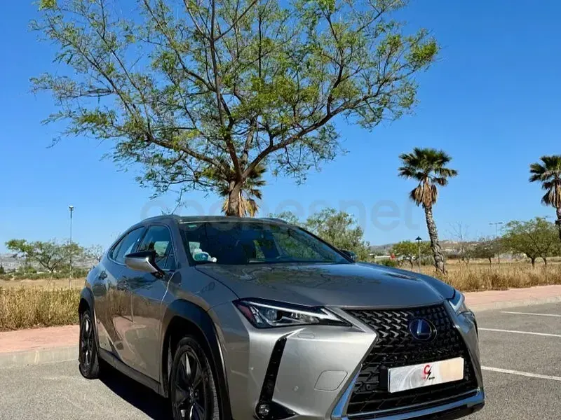 Usado Lexus UX Business Edition 184 CV (135 kW) 2020 Gris / plata SUV