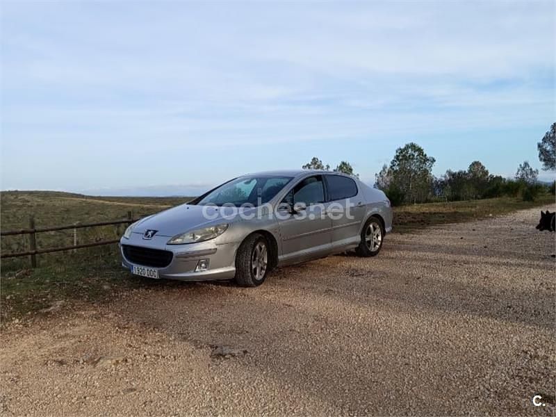 Usado Peugeot 407 Sport 136 CV (100 kW) 2004 Gris / plata Berlina