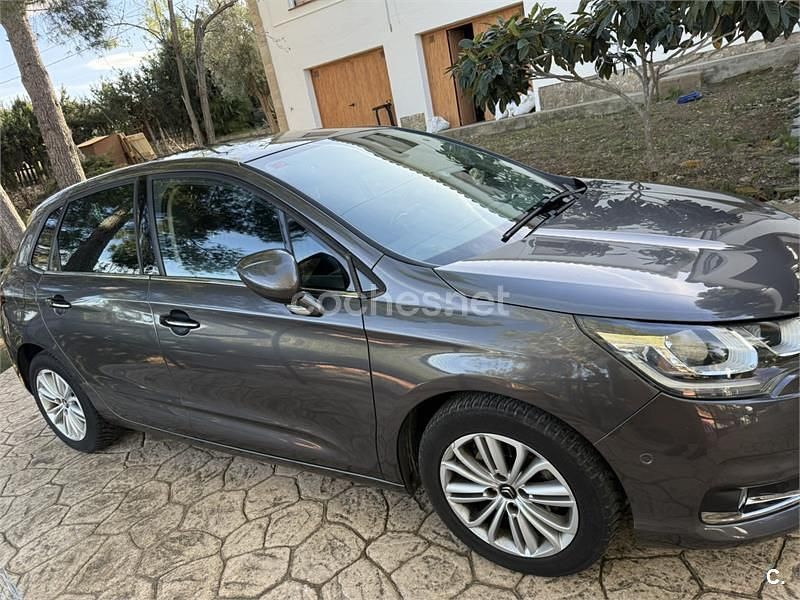 Usado Citroën C4 Feel 130 CV (95 kW) 2016 Gris / plata Berlina