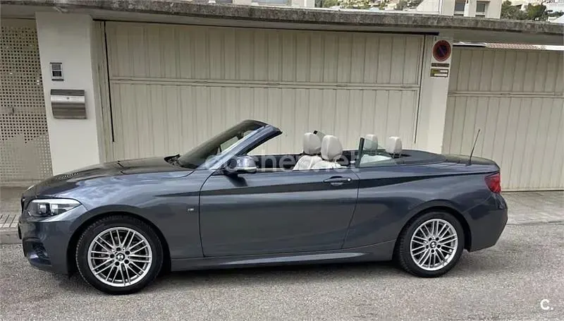 Usado BMW 218 Comfort Edition 150 CV (110 kW) 2019 Gris / plata Descapotable