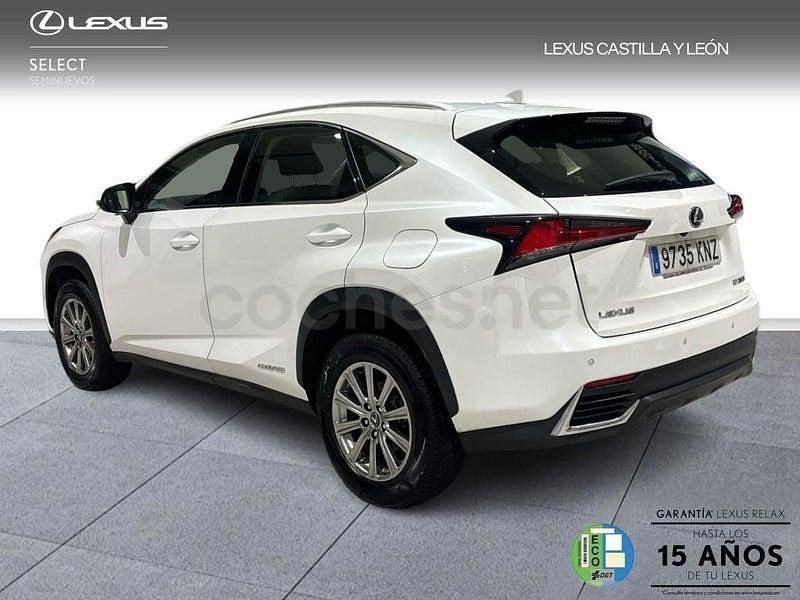 Usado Lexus NX300h Business Edition 197 CV (144 kW) 2018 Blanco SUV