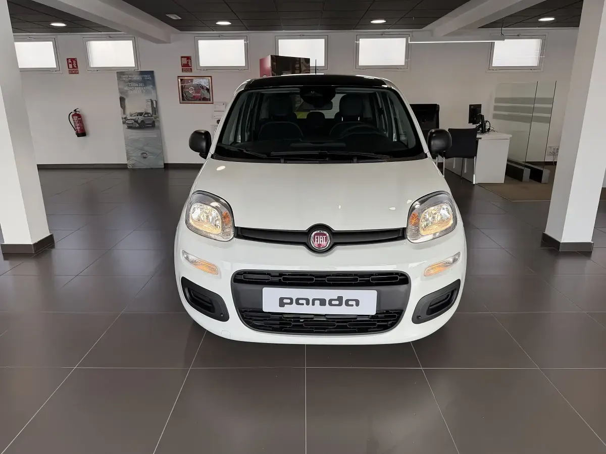 Nieuw Fiat Panda Icon 100 PK (73 kW) 2025 Wit Hatchback