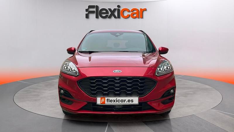 Usado Ford Kuga ST-Line 150 CV (110 kW) 2022 Rojo SUV