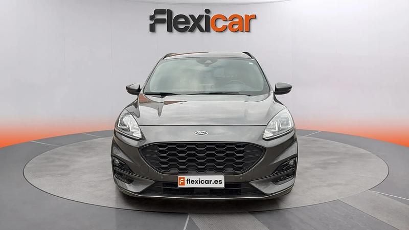 Usado Ford Kuga ST-Line 120 CV (88 kW) 2024 Gris SUV