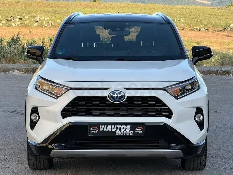Usado Toyota RAV4 Hybrid Style 218 CV (160 kW) 2022 Blanco SUV