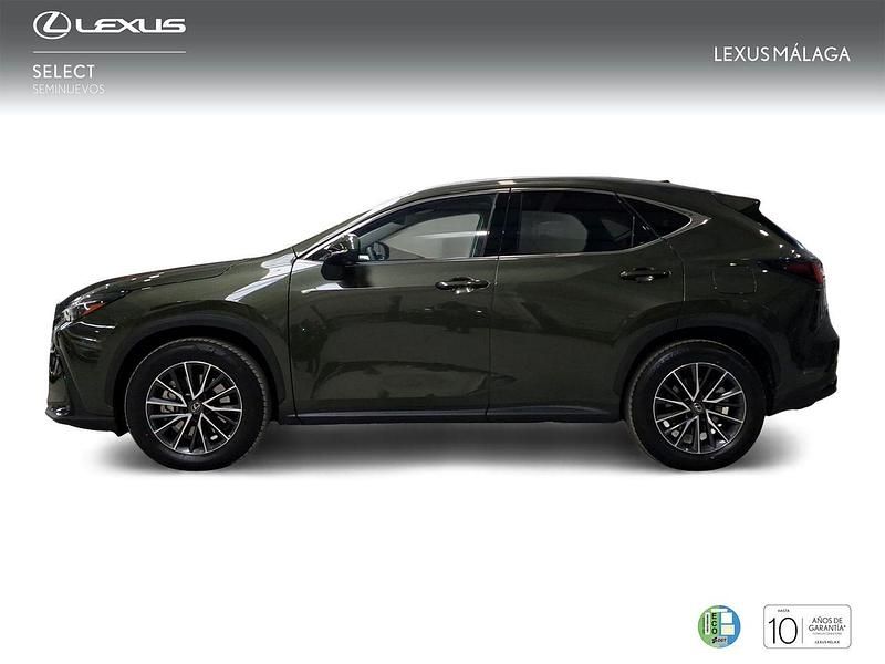 Nuevo Lexus NX450h+ Executive Line 306 CV (225 kW) 2025 Verde SUV