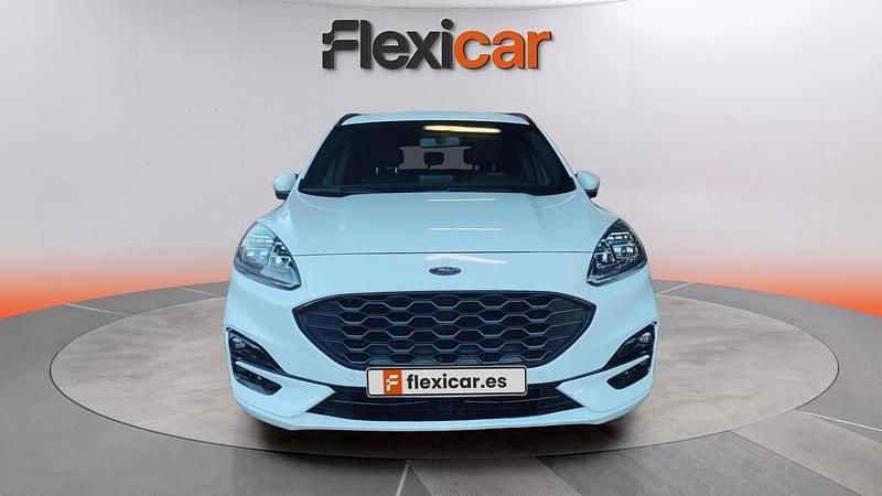 Usado Ford Kuga ST-Line 226 CV (166 kW) 2023 Blanco SUV