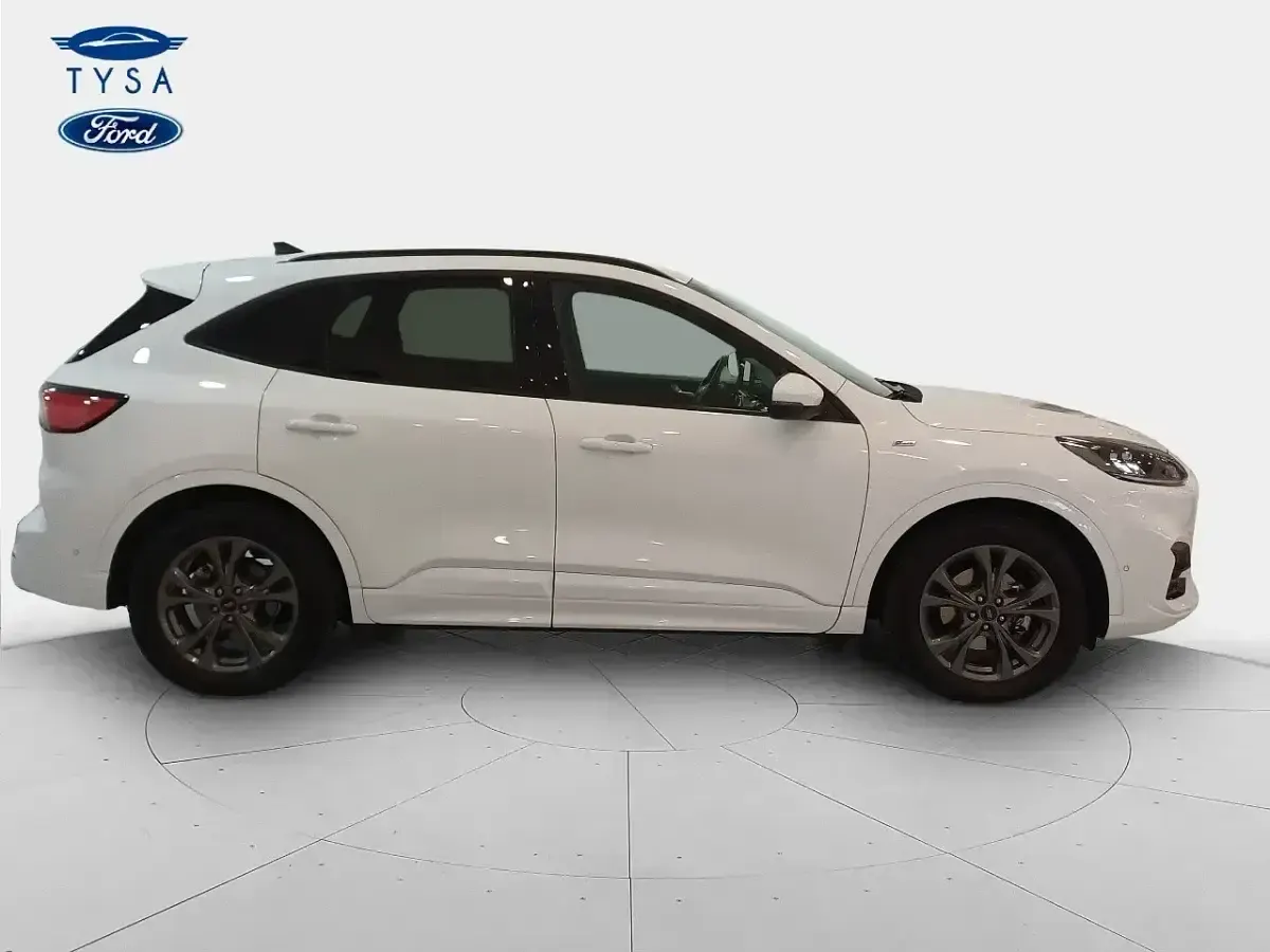 Usado Ford Kuga ST-Line 150 CV (110 kW) 2024 Blanco SUV