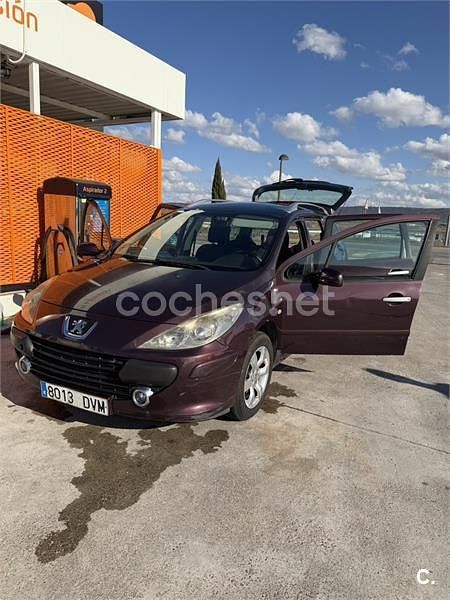 Usado Peugeot 307 110 CV (80 kW) 2006 Granate Familiar