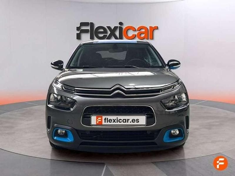 Usado Citroën C4 Cactus Feel 110 CV (80 kW) 2019 Gris Utilitario