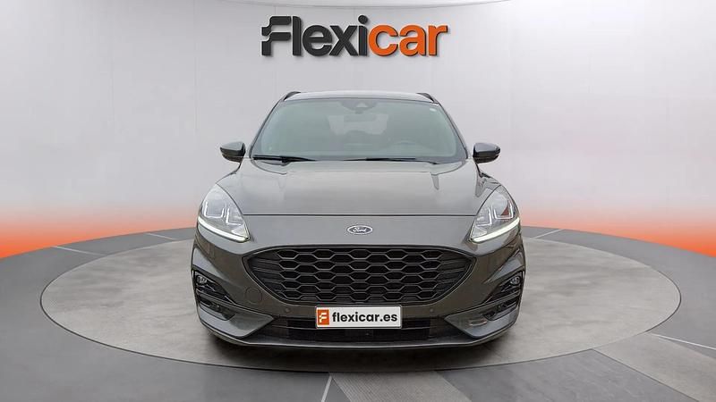 Usado Ford Kuga ST-Line 120 CV (88 kW) 2024 Gris SUV