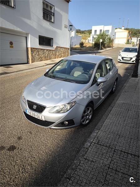 Begagnad Seat Ibiza 105 HK (77 kW) 2009 Grå Sedan