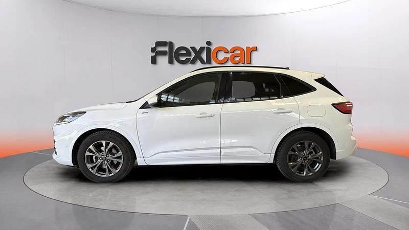 Brugt Ford Kuga ST-Line 120 HK (88 kW) 2023 Hvid SUV