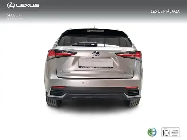 Usado Lexus NX300h Business Edition 197 CV (144 kW) 2018 Gris SUV