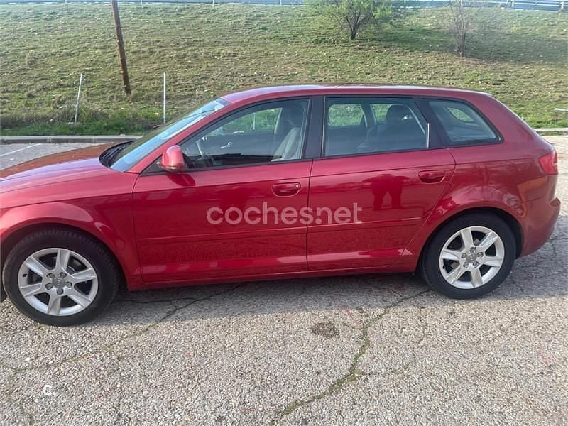 Usado Audi A3 Ambition 105 CV (77 kW) 2010 Granate Utilitario