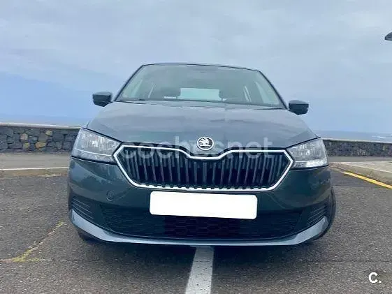 Usado Skoda Fabia Active 95 CV (69 kW) 2019 Gris / plata Utilitario