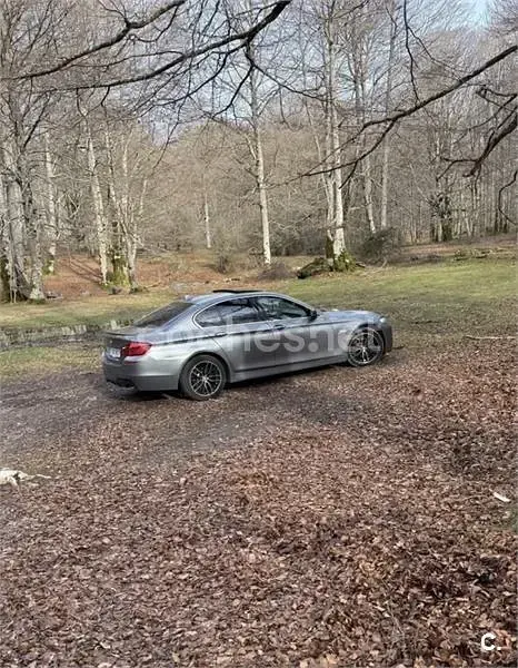 Usado BMW 520 177 CV (130 kW) 2011 Gris / plata Berlina