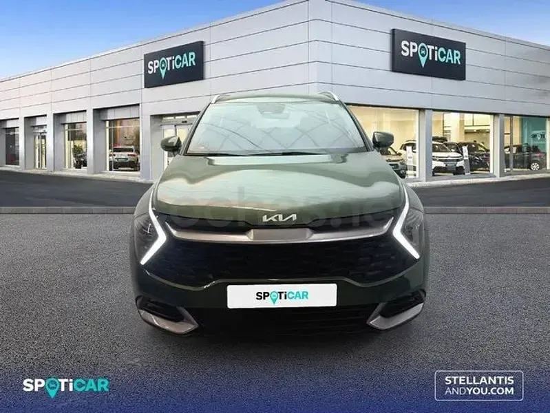 Usado Kia Sportage 230 CV (169 kW) 2022 Verde SUV