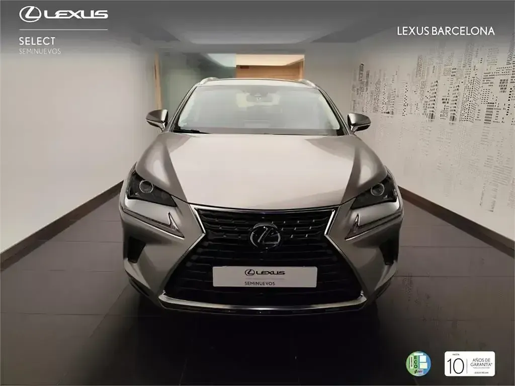 Usado Lexus NX300h Business Edition 197 CV (144 kW) 2020 Otro SUV