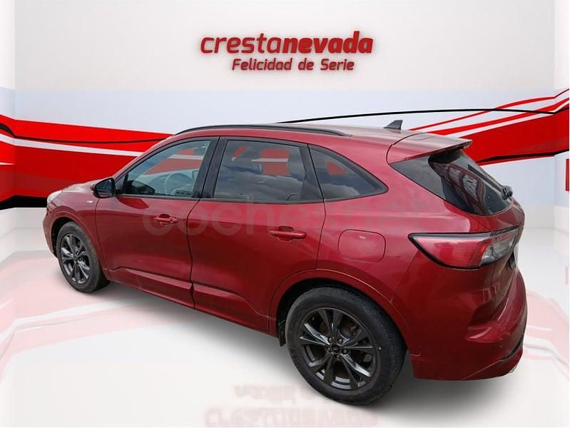 Usado Ford Kuga ST-Line 150 CV (110 kW) 2022 Rojo SUV