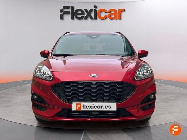 Usado Ford Kuga ST-Line 150 CV (110 kW) 2022 Rojo SUV