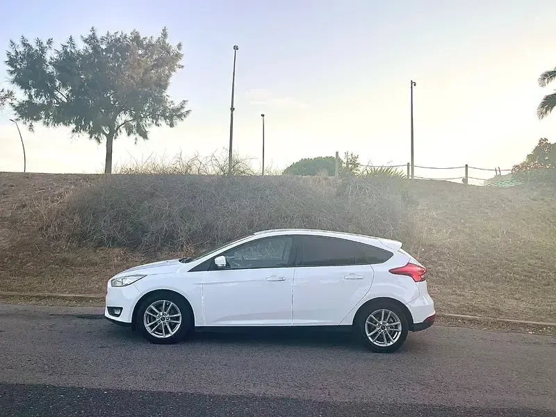 Usado Ford Focus Trend 125 CV (91 kW) 2016 Blanco Berlina
