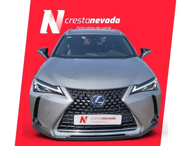 Usado Lexus UX Business Edition 184 CV (135 kW) 2022 Gris / plata SUV