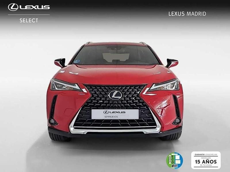 Usado Lexus UX 250h Business Edition 185 CV (136 kW) 2022 Rojo SUV