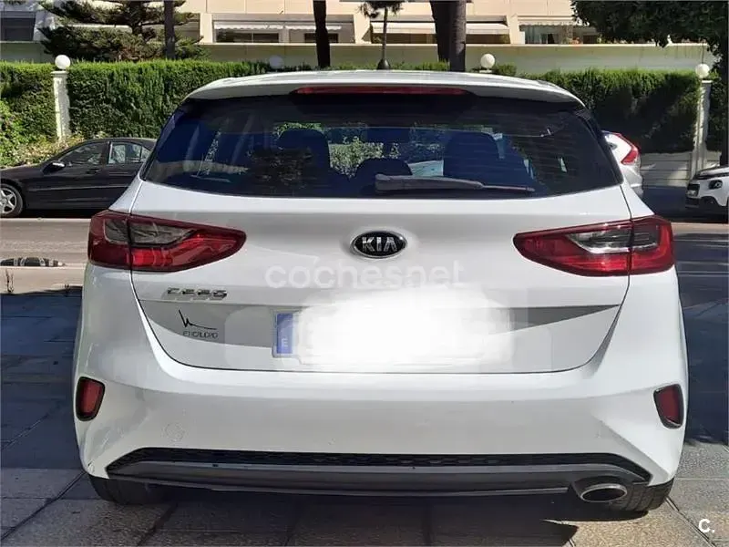 Occasion Kia Ceed 115 PK (84 kW) 2019 Wit Hatchback