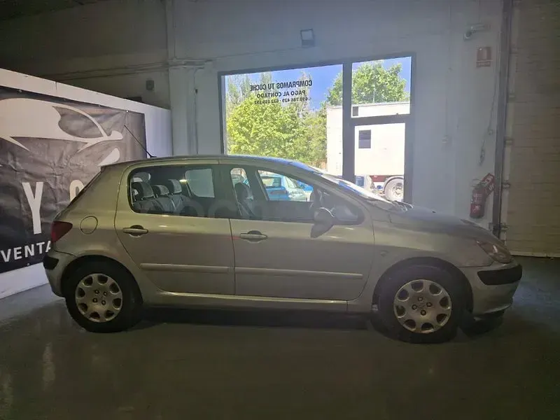 Usado Peugeot 307 110 CV (80 kW) 2003 Gris / plata Berlina