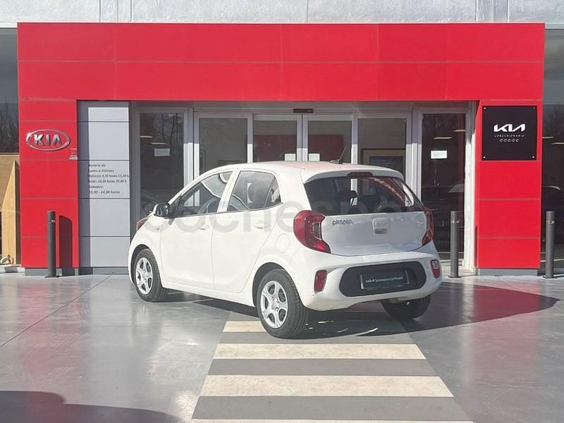 Usado Kia Picanto 67 CV (49 kW) 2024 Blanco Utilitario