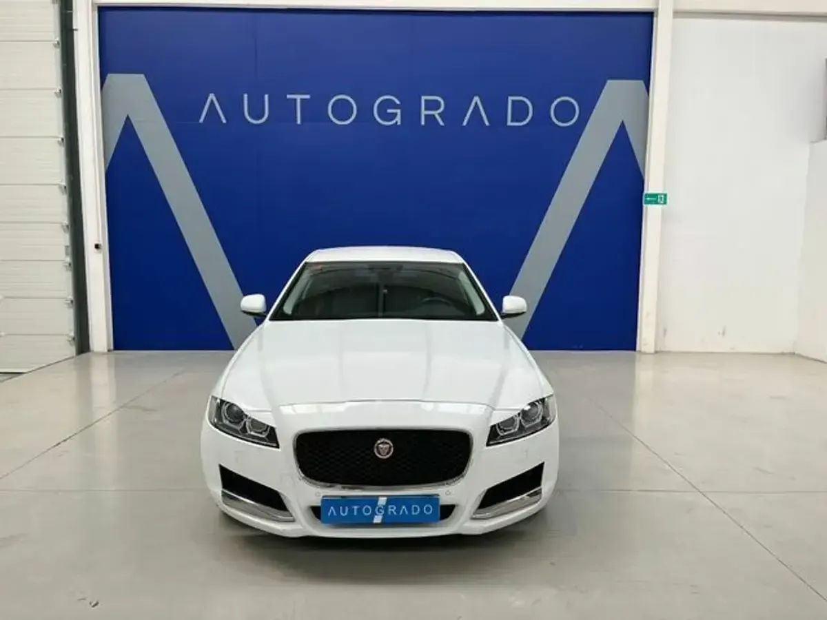 Usado Jaguar XF Prestige 180 CV (132 kW) 2016 Blanco Berlina