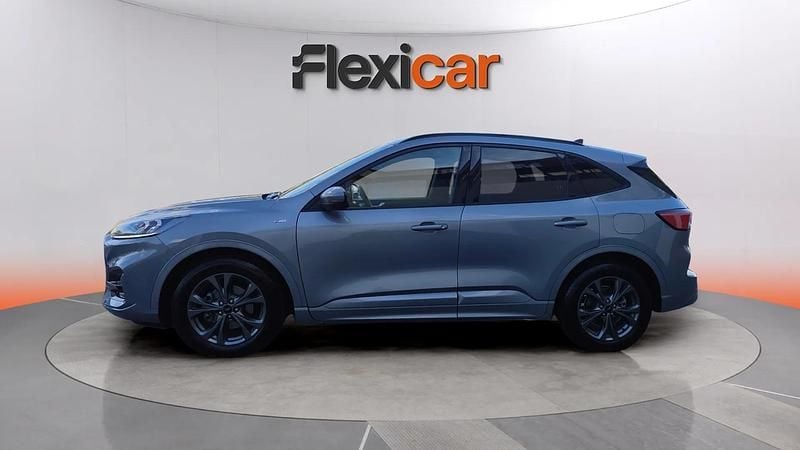 Usado Ford Kuga ST-Line 150 CV (110 kW) 2022 Gris SUV