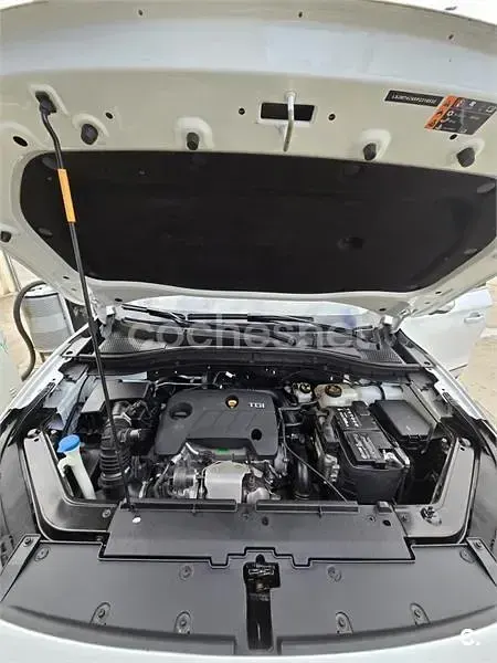 Usado MG ZS Luxury 111 CV (81 kW) 2023 Blanco SUV