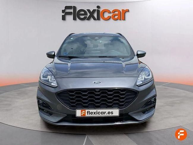 Usado Ford Kuga ST-Line 225 CV (165 kW) 2023 Gris SUV