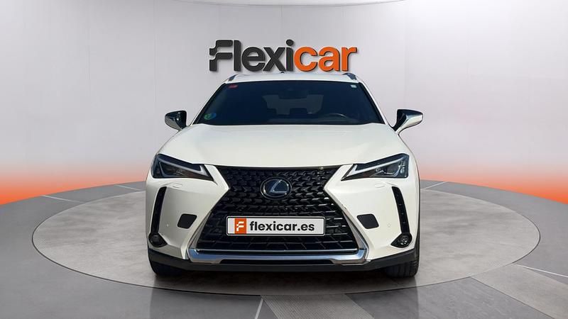 Usado Lexus UX Business Edition 184 CV (135 kW) 2019 Blanco SUV