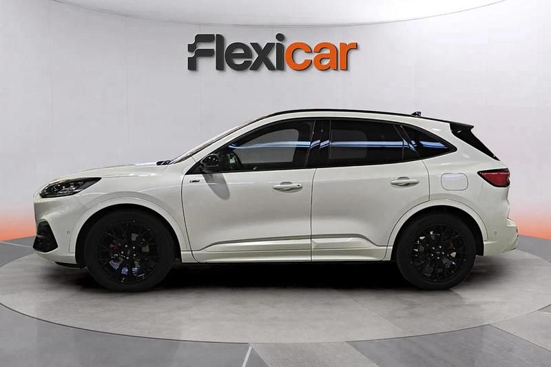 Usado Ford Kuga ST-Line 150 CV (110 kW) 2023 Blanco SUV