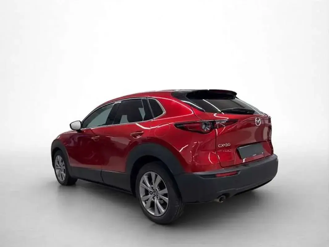 Usado Mazda CX-30 122 CV (89 kW) 2021 Rojo SUV