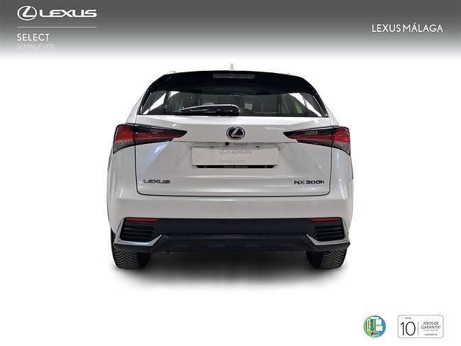 Usado Lexus NX300h Business Edition 197 CV (144 kW) 2019 Blanco SUV