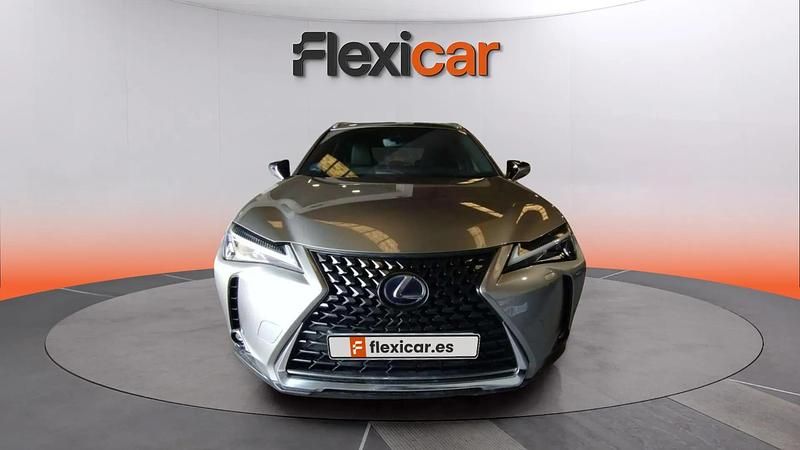 Usado Lexus UX Business Edition 184 CV (135 kW) 2019 Beige SUV